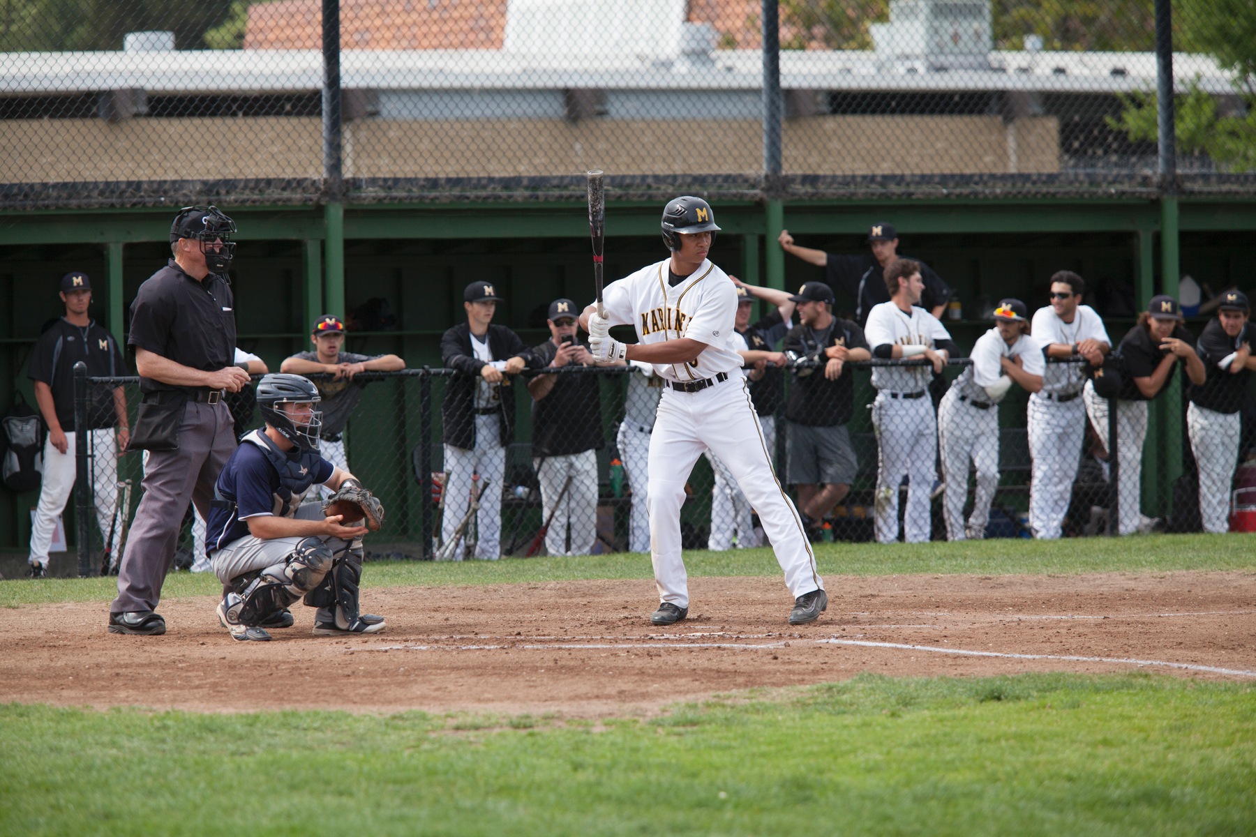 COM’s Garihan Dominates & Bats Explode Against Solano College In 11-1 Victory